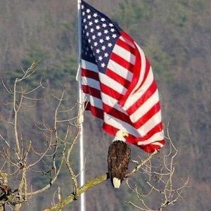 Meet your Posher, Bobbi